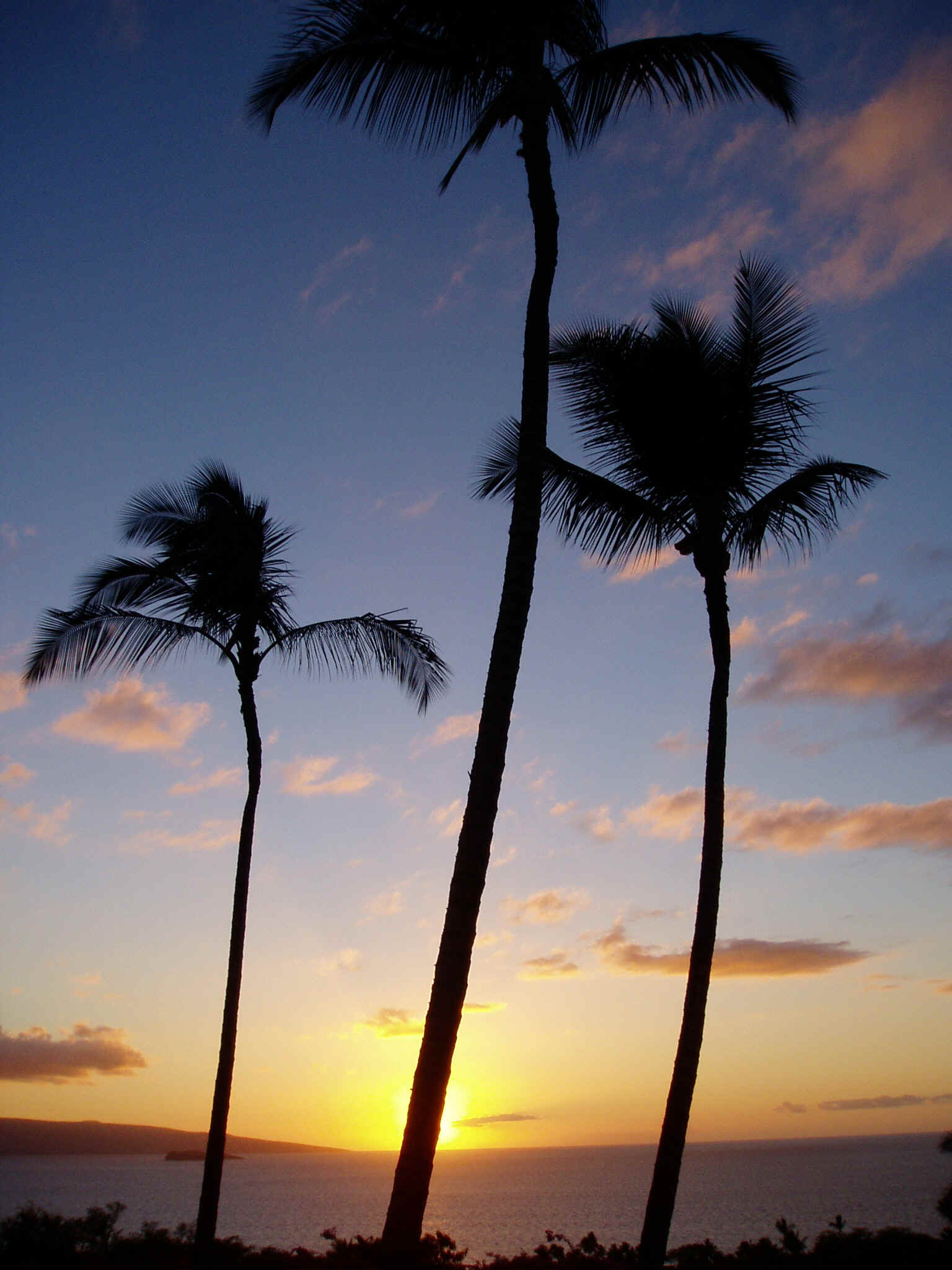 mauisunset.jpg (1103072 bytes)